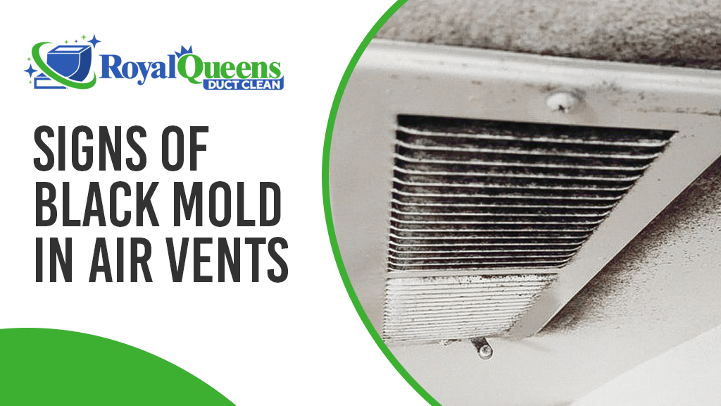 How to Get Rid of Mold Spores in the Air Expert Advice